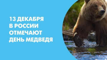 А сегодня - День Медведя! А сегодня - День Медведя!.
